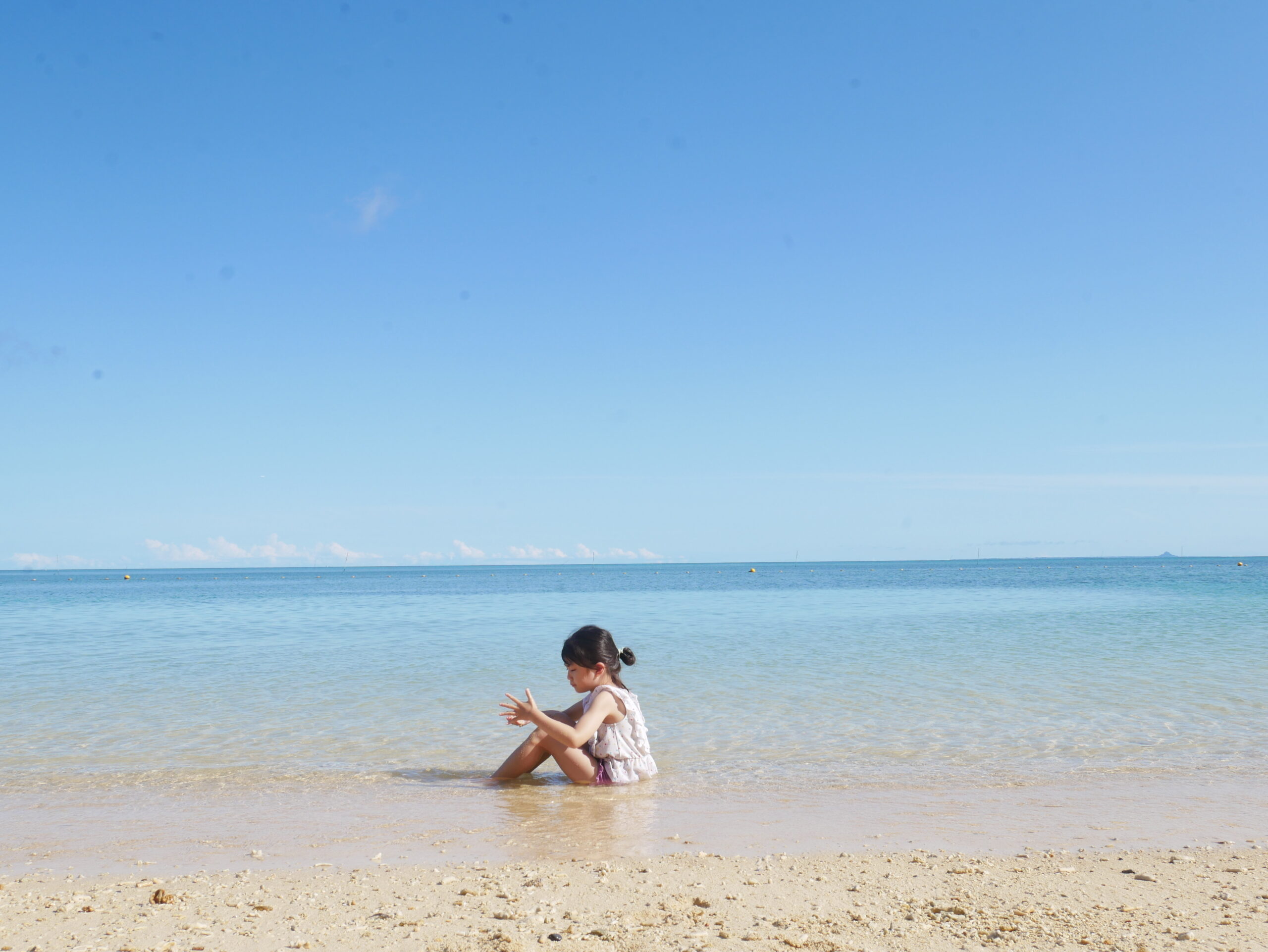 夏が好き