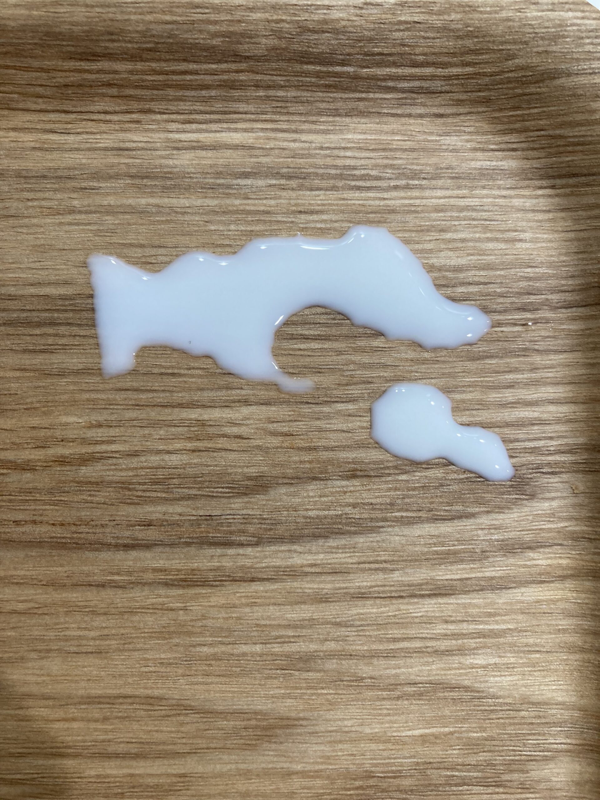 息子の想像力∞