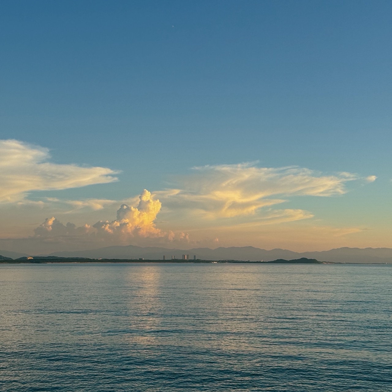 海