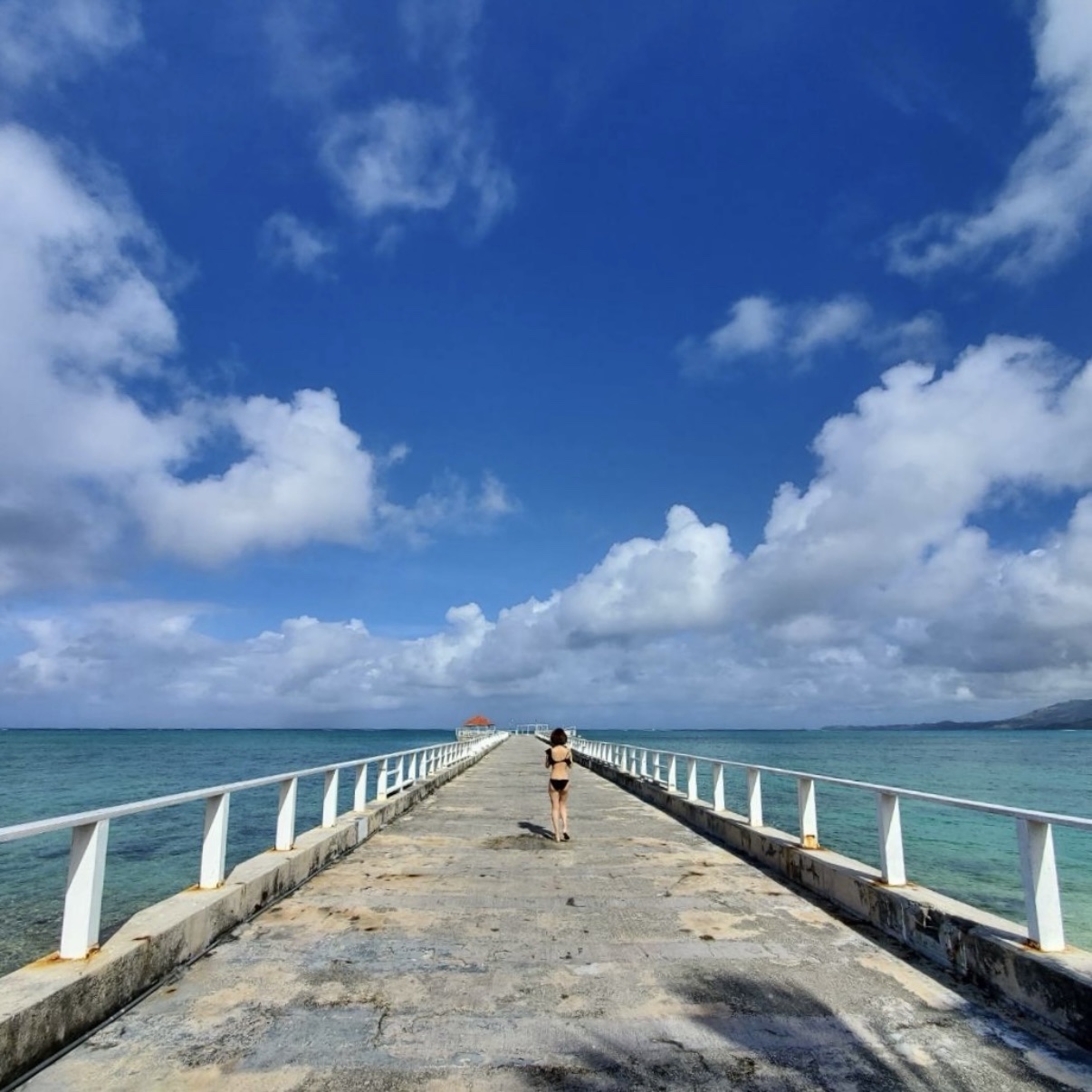 海