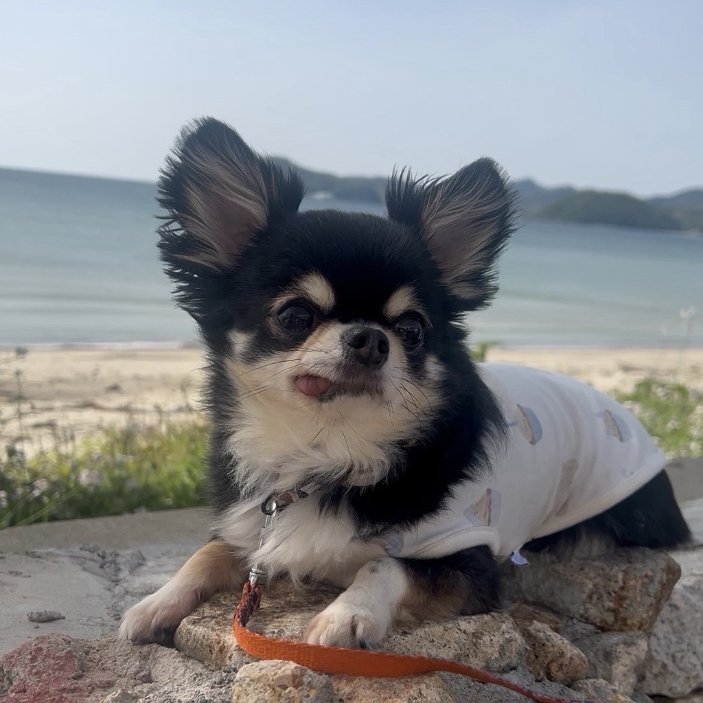 秀吉