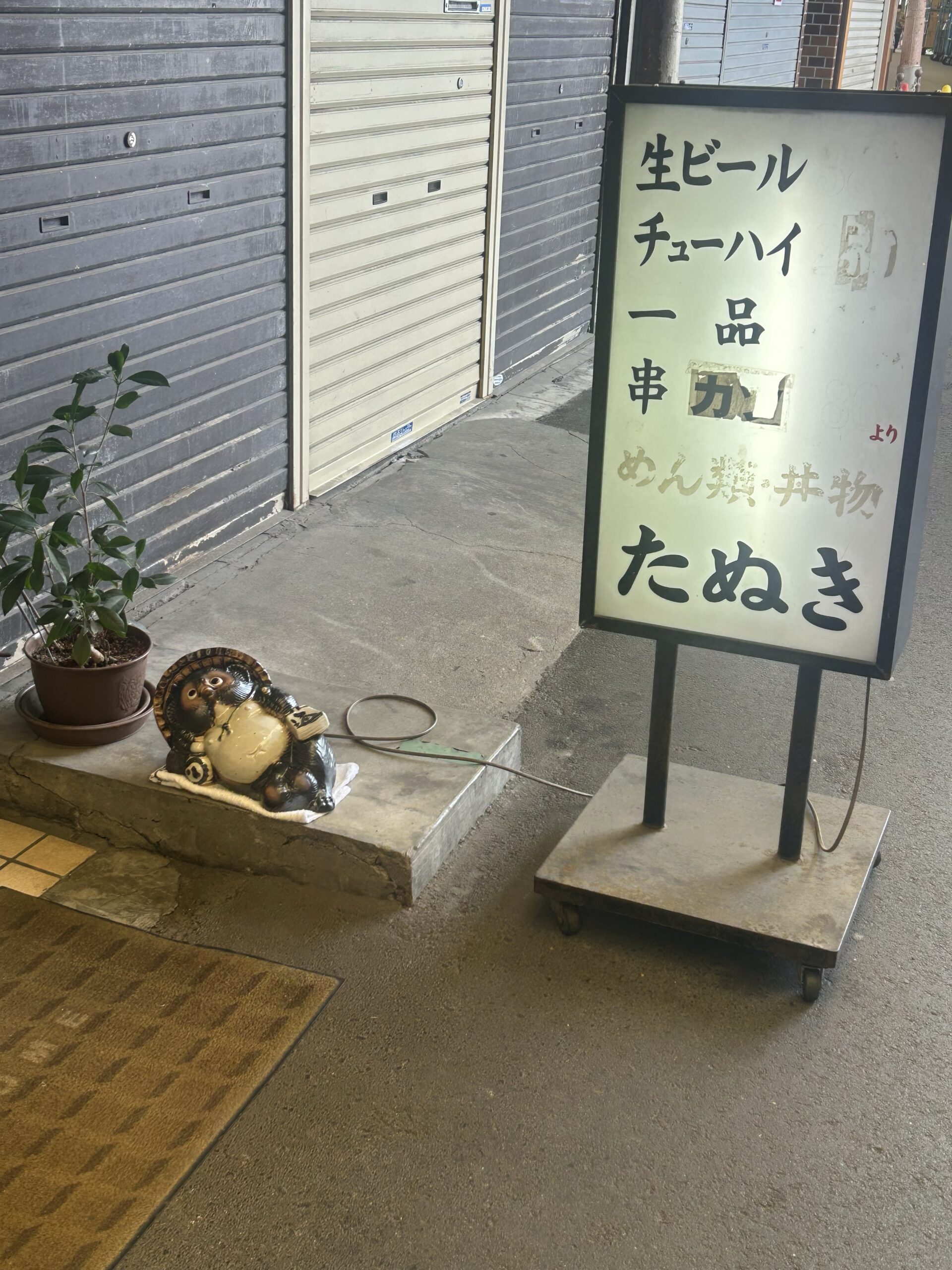 たぬき